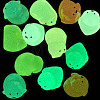 12Pcs 6 Styles Luminous Resin Chick Diaplay Decoration RESI-TAD0001-04-3