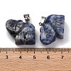 Natural Blue Spot Jasper Pendants G-B127-05P-11-4