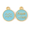 Alloy Enamel Pendants LS-ENAM-S124-01B-16J-2