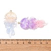 Transparent Resin Pendants RESI-H039-04P-3