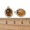 Natural Tiger Eye Faceted Oval Pendants G-I375-02G-01-3