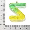 Resin Pendant FIND-Q107-01Z-02-3