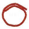 Natural Deyd White Jade Beads Strands GG-CBAD029-B05-5x8mm-5