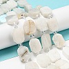 Natural Rainbow Moonstone Beads Strands G-G072-B02-02-2