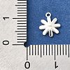 925 Sterling Silver Charms STER-F059-06S-3