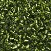 6/0 Glass Seed Beads X2-SEED-A005-4mm-24-3