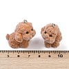 Flocky Resin Pendants FIND-A052-06K-3