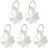 5Pcs 925 Sterling Silver Charms STER-BBC0009-44D-1