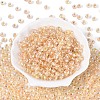 FGB Inside Colours Transparent Glass Seed Beads SEED-T009-01G-1