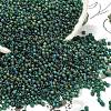 TOHO 11/0 Round Beads SEED-XTR11-0179F-1