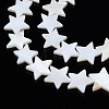 Natural Freshwater Shell Beads Strands SHEL-S278-01D-01-3