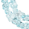 Transparent Glass Beads Strands GL-CBAAE04-01C-3