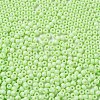 Baking Paint Glass Seed Beads SEED-H002-I-A523-3