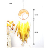Woven Web/Net with Feather Hanging Ornaments PW23102031039-1
