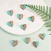 Resin & Wood Pendants LS-RESI-CJC0001-19C-6