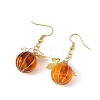 Transparent Acrylic 304 Stainless Steel Dangle Earrings EJEW-TA00828-4