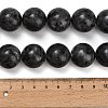 Natural Larvikite Beads Strands GSR20mmC128-4