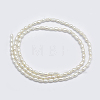 Natural Cultured Freshwater Pearl Beads Strands PEAR-F007-83-2