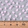FGB Grade A Frosted Glass Seed Beads SEED-Q040-04A-06-6