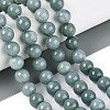 Natural Jadeite Beads Strands G-N353-07C-01-1