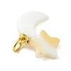 Natural Freshwater Shell Pendants PALLOY-JF05399-2