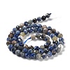Natural Sodalite Beads Strands G-J400-E09-03-3