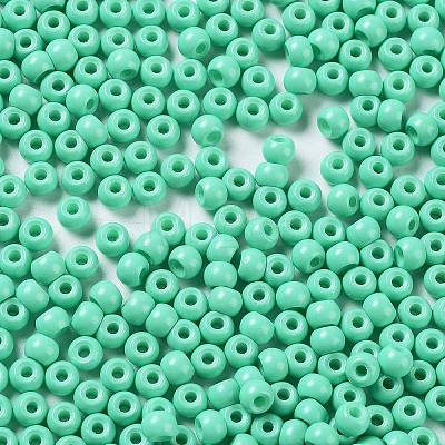 Baking Paint Glass Seed Beads SEED-H002-I-A509-1