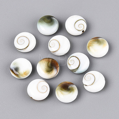 Natural Shiva Eye Shell Beads BSHE-T014-33B-1