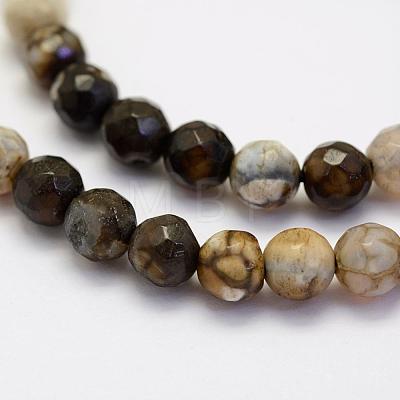 Natural Agate Beads Strands G-G703-10mm-M-1