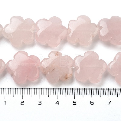 Natural Rose Quartz Beads Strands G-F769-X01-02-1