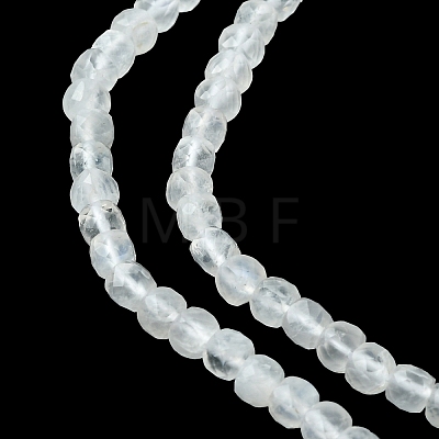 Natural Rainbow Moonstone Beads Strands G-F748-Z01-02-1
