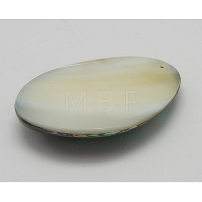 Abalone Shell/Paua Shell Pendants SSHEL-N001-106-1