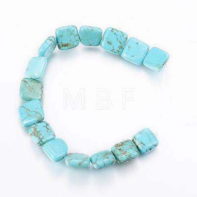 Natural Magnesite Beads Strands TURQ-K003-06-1