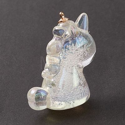 Transparent Acrylic Pendants TACR-P002-03A-01-1