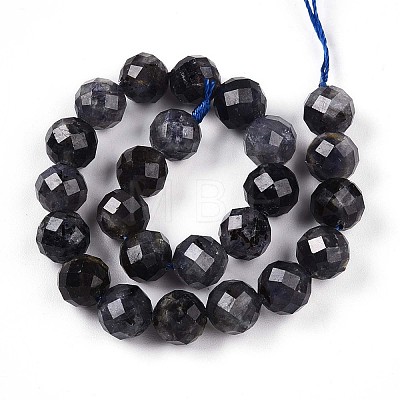 Natural Cordierite/Iolite/Dichroite Beads Strands G-S345-8mm-27-1