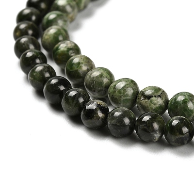 Natural Diopside Beads Strands G-R006-A01-03-1