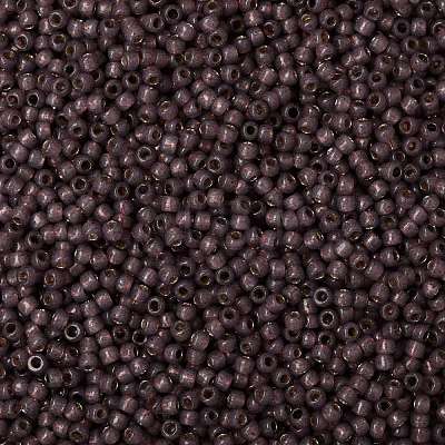 TOHO Round Seed Beads SEED-XTR08-PF2114-1