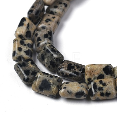 Natural Dalmatian Jasper Beads Strands G-Z006-B08-1