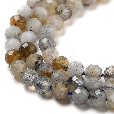 Natural Labradorite Beads Strands G-G161-A09-03-1