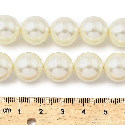 Round Shell Pearl Beads Strands BSHE-XCP0001-25C-02-1