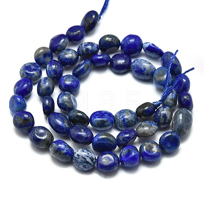 Natural Lapis Lazuli Beads Strands G-O186-B-17-1
