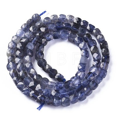 Natural Cordierite/Iolite/Dichroite Beads Strands G-E560-A19-1