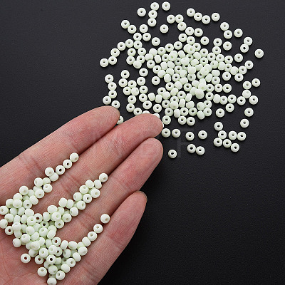 6/0 Glass Seed Beads SEED-T005-14-B17-1