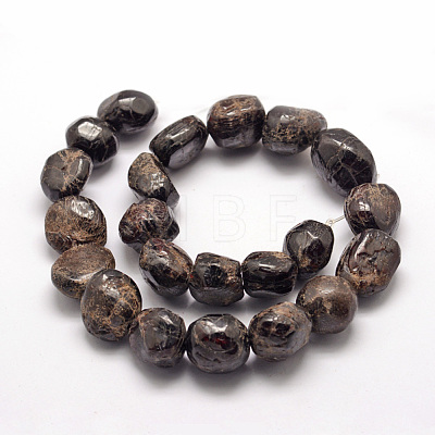 Natural Garnet Beads Strands G-P301-15-1