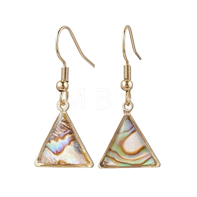 Natural Paua Shell Dangle Earrings EJEW-JE06274-02-1