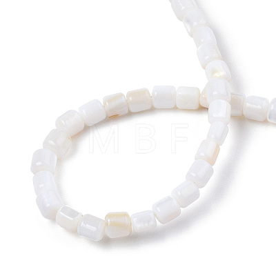 Natural Freshwater Shell Beads Strands SHEL-N034-29B-01-1