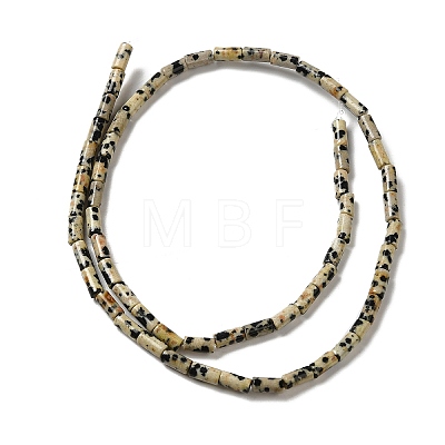 Natural Dalmatian Jasper Beads Strands G-E612-B01-1