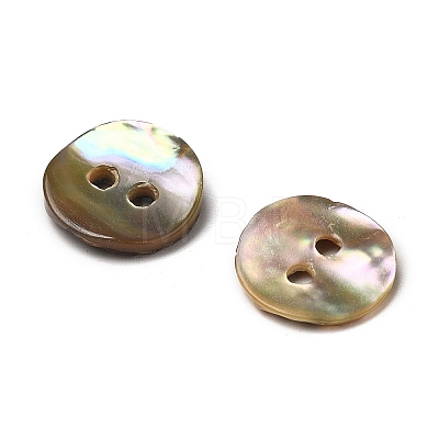 Abalone Shell/Paua Shell LS-BSHE-I011-04D-1