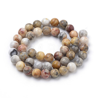Natural Crazy Lace Agate Beads Strands G-S259-38-8mm-1