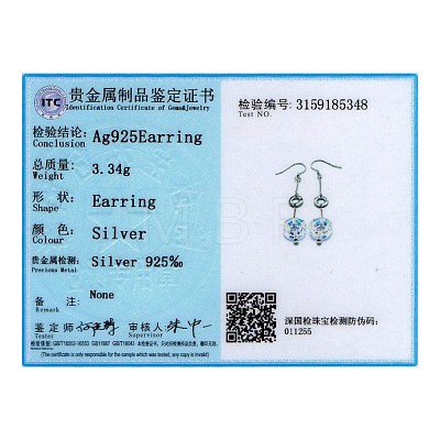 925 Sterling Silver Earrings EJEW-BB30583-1